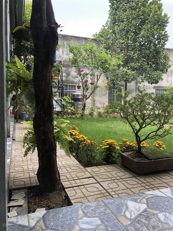 Bán hết/lẻ từng sổ đất mt quốc lộ 50, cần giuộc, long an, 559m2 (3 sổ liền nhau) 100% thổ cư