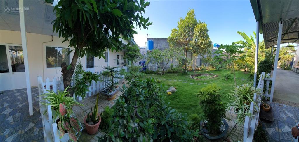 Bán hết/lẻ từng sổ đất mt quốc lộ 50, cần giuộc, long an, 559m2 (3 sổ liền nhau) 100% thổ cư