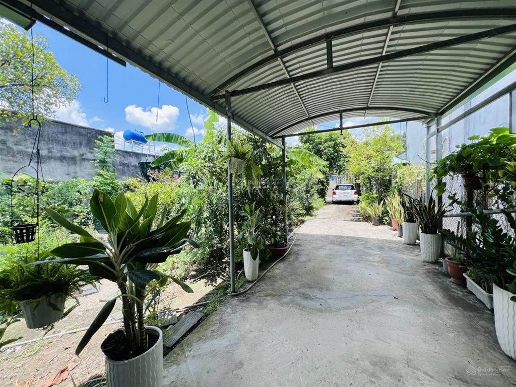 Bán hết/lẻ từng sổ đất mt quốc lộ 50, cần giuộc, long an, 559m2 (3 sổ liền nhau) 100% thổ cư