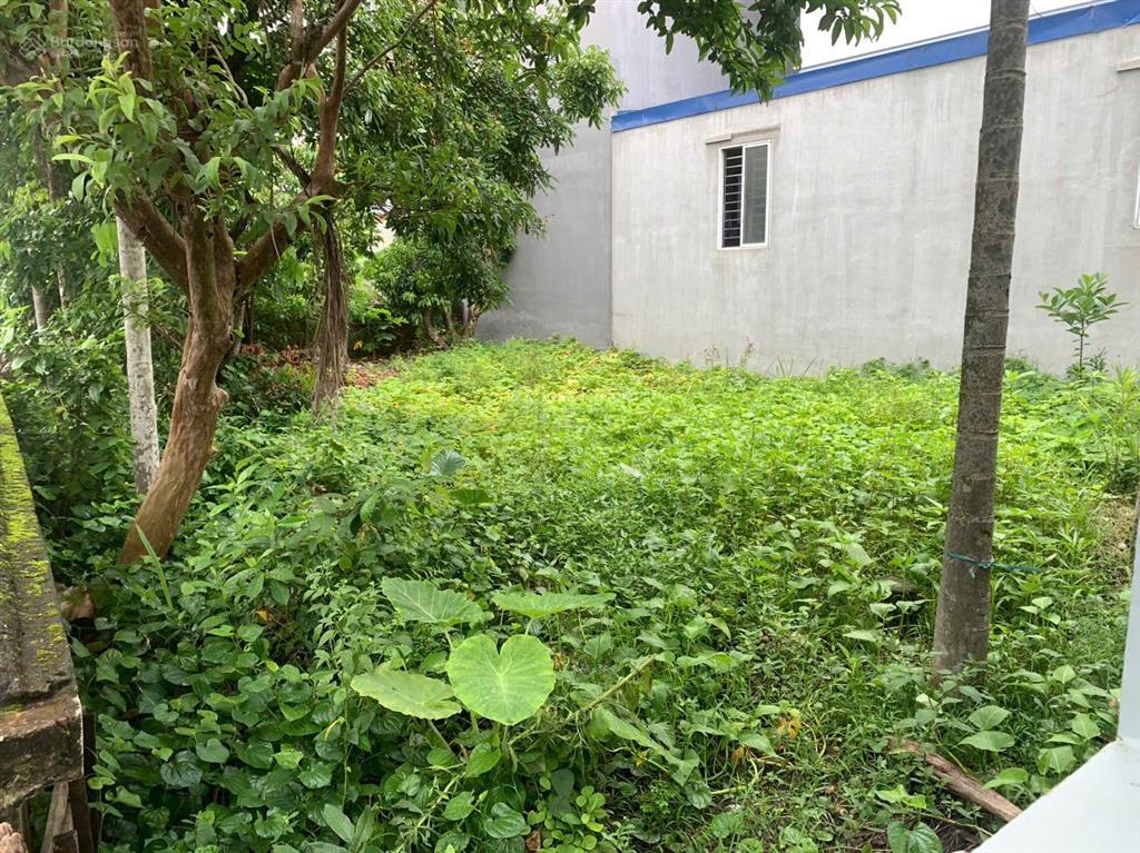 Bán đất tại tổ dân phố 2, an dương, hải phòng, 32 triệu / m2, 135 m2