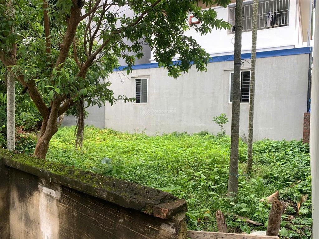 Bán đất tại tổ dân phố 2, an dương, hải phòng, 32 triệu / m2, 135 m2