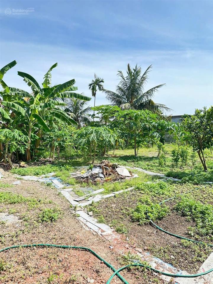Giảm giá 400tr còn 1 tỷ 750 nhà vườn 433m2 tại hoà nghĩa, dương kinh, hải phòng. ô tô đỗ đất