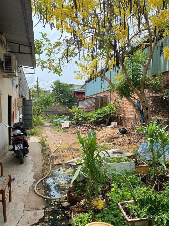 Bán đất tại bình minh, 2,9 tỷ, 543,4 m2, giá cực chất