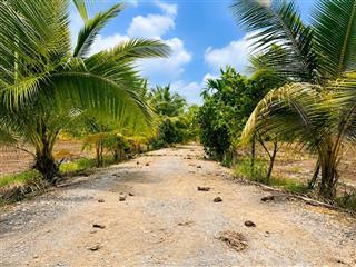 Chính chủ bán đất 300m² full thổ cư Hựu Thạnh – gần Đại học Tân Tạo, cách TP.HCM chỉ 28km