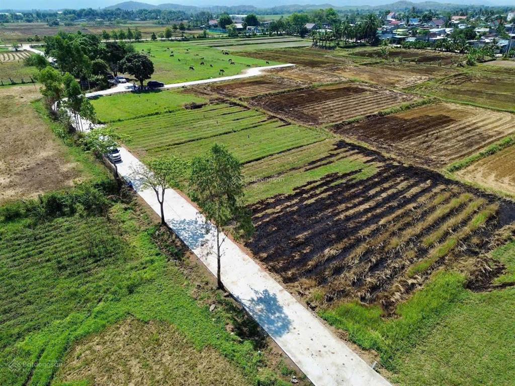 280 triệu sở hữu ngay 120m² đất thôn tân lập 2, ngang 5,5m nở hậu 5,9m