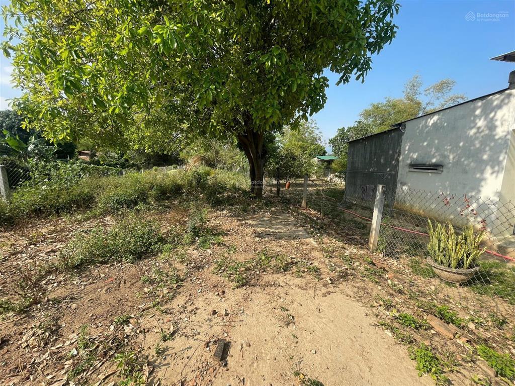 Bán đất đắc nhơn phường đô vinh 414m² chỉ 900tr, sổ đỏ trao tay, vị trí đẹp