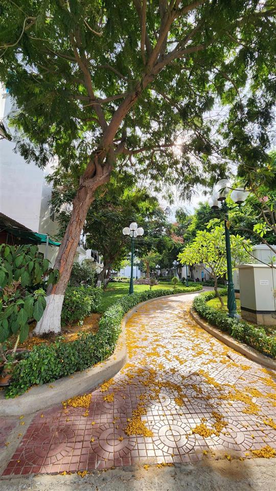 Bán đất khu k1 2 mặt tiền, view công viên phan rang, lô kế góc, đường 8m giá tốt