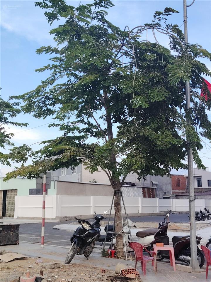 Bán căn hộ shophouse mk centralcity vừa ở vừa kinh doanh