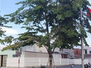Bán căn hộ shophouse mk centralcity vừa ở vừa kinh doanh