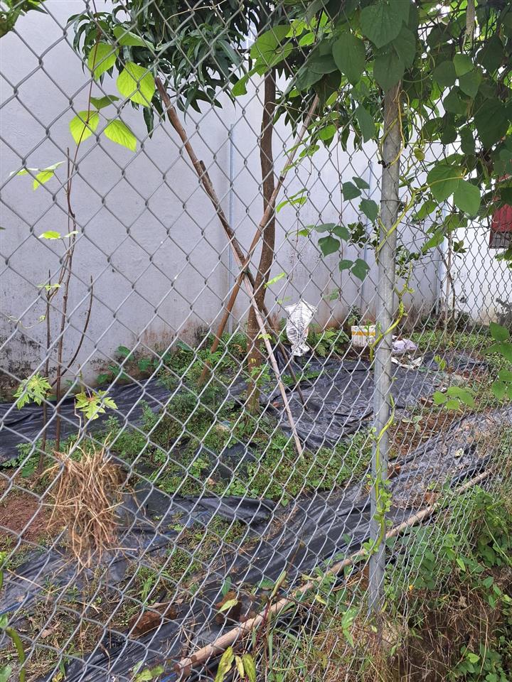 Lai xá 69m2 10,5 tỷ, phân lô, ô tô tránh, lideco