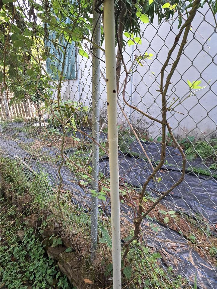 Lai xá 69m2 10,5 tỷ, phân lô, ô tô tránh, lideco