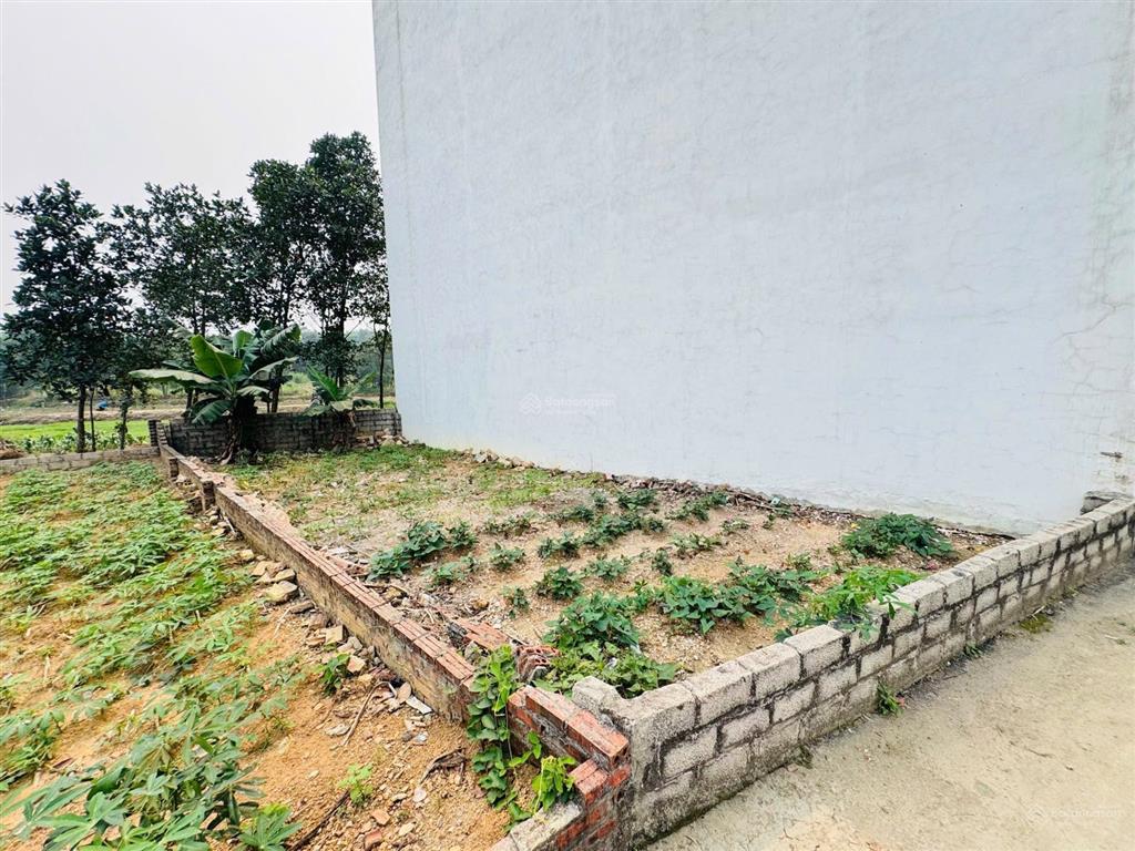 Bán đất tại thôn than, xã tân xã, huyện thạch thất, 2,7 tỷ, 60 m2, chính chủ giá ưu đãi