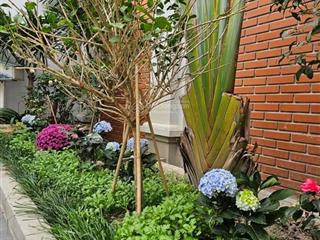 Nhà phố kinh doanh mặt tiền 13m đường 24 m diện tích sử dung 1200 m2 + 2 đường trước sau + vườn cây