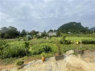 Cơ hội đầu tư đất cao phong, giá tốt hiếm có