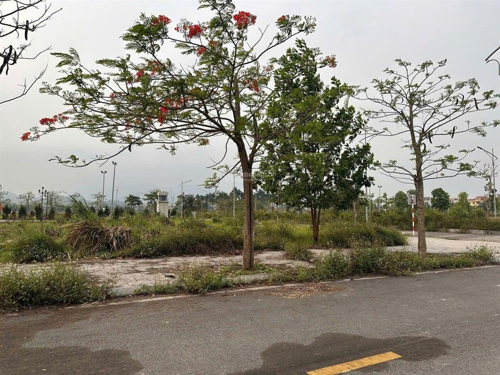 Cắt lỗ gấp lô đất 114m2 giá chỉ nhỉnh 2 tỷ vị trí trung tâm dự án phương đông lương sơn hòa bình
