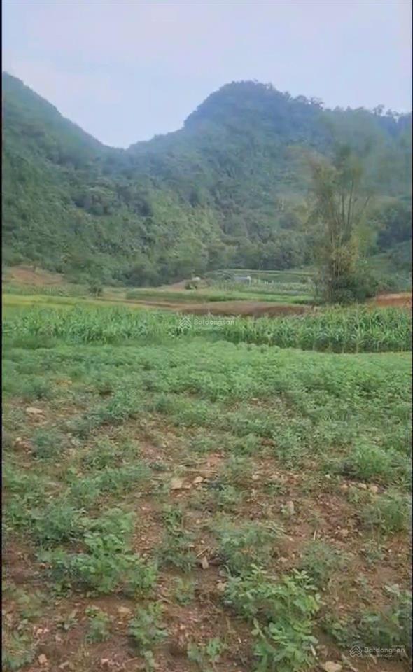1,5ha đất 2 ao nước mạch + suối chảy dọc đất giá nhỉnh 5 tỷ tại liên sơn  lương sơn  hòa bình