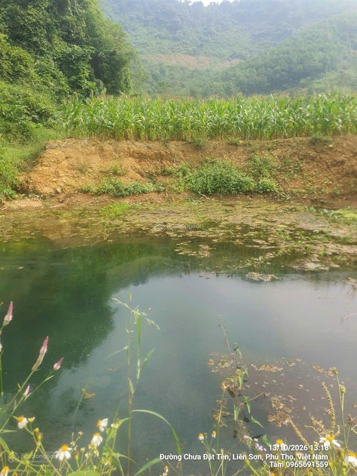 1,5ha đất 2 ao nước mạch + suối chảy dọc đất giá nhỉnh 5 tỷ tại liên sơn  lương sơn  hòa bình