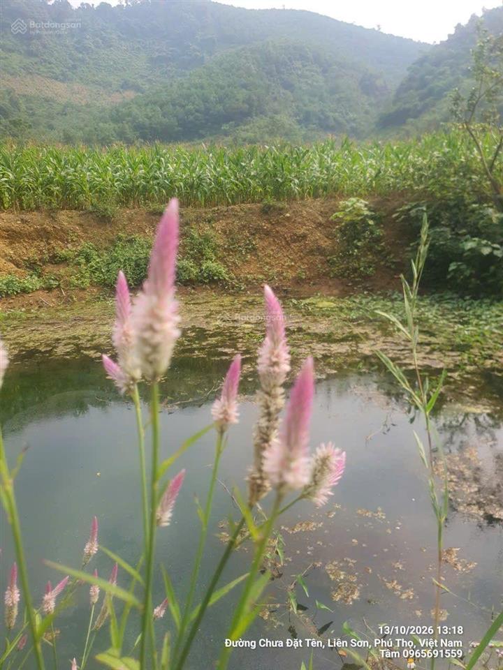 1,5ha đất 2 ao nước mạch + suối chảy dọc đất giá nhỉnh 5 tỷ tại liên sơn  lương sơn  hòa bình