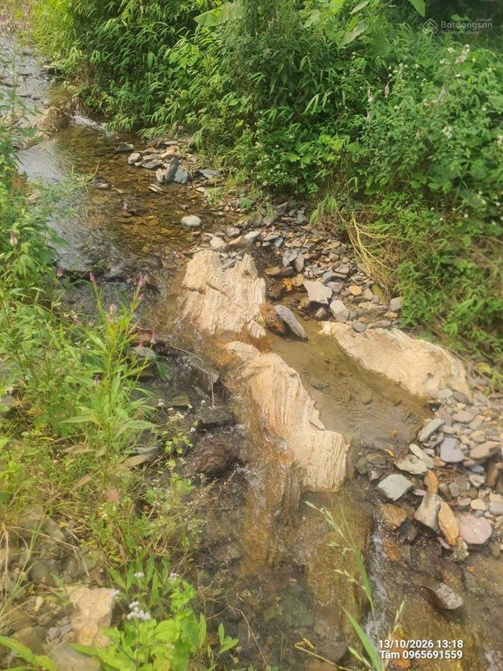 1,5ha đất 2 ao nước mạch + suối chảy dọc đất giá nhỉnh 5 tỷ tại liên sơn  lương sơn  hòa bình