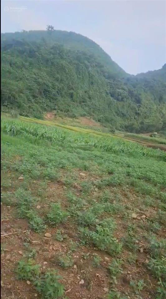 1,5ha đất 2 ao nước mạch + suối chảy dọc đất giá nhỉnh 5 tỷ tại liên sơn  lương sơn  hòa bình