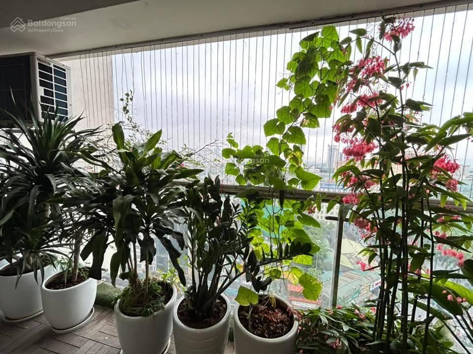 Giá rẻ bán nhanh! chung cư htt tower 197 trần phú 70m2, 2 ngủ, 2 vs chỉ 5,xx tỷ