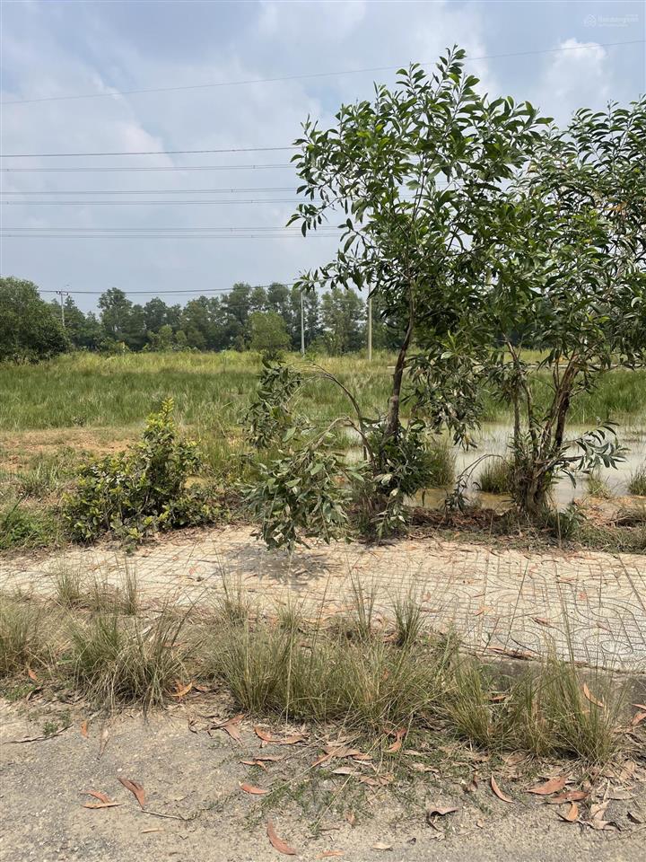 Bán đất nền dự án vista land, đường tỉnh lộ 8, 1,1 tỷ, 86 m2