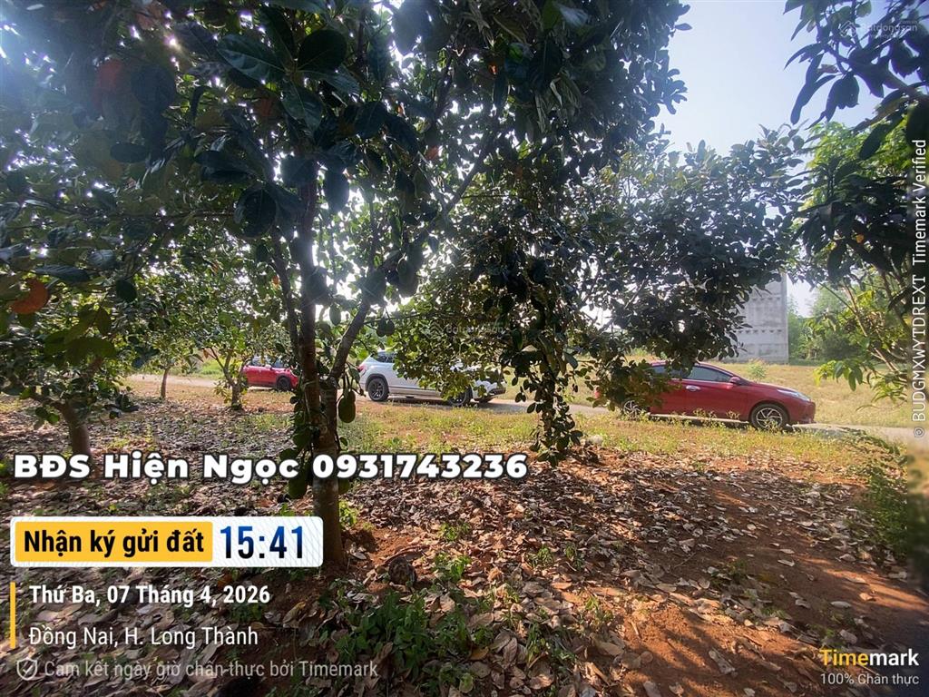 Nhận đặt cọc 20 nền full thổ cư khu dân cư tân hiệp cách sân bay long thành 7km