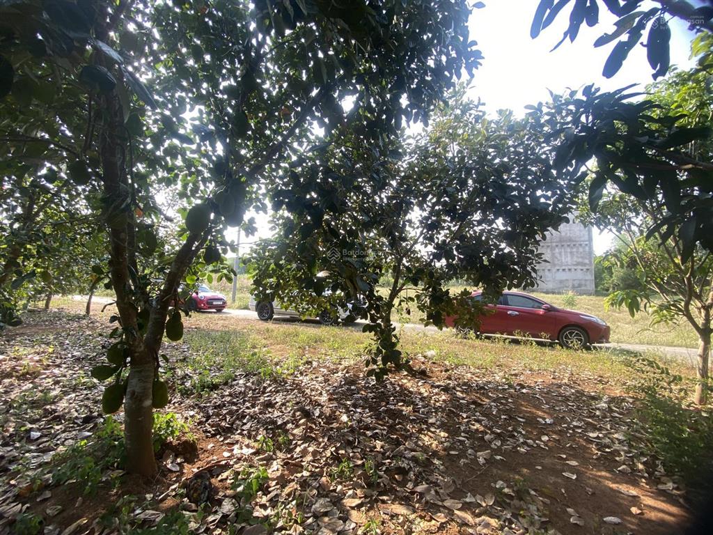 Nhận đặt cọc 20 nền full thổ cư khu dân cư tân hiệp cách sân bay long thành 7km