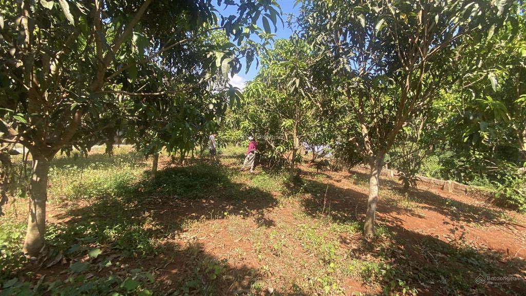 Nhận đặt cọc 20 nền full thổ cư khu dân cư tân hiệp cách sân bay long thành 7km