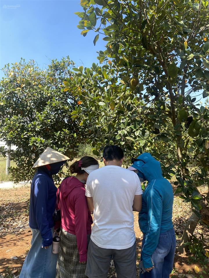 Nhận đặt cọc 20 nền full thổ cư khu dân cư tân hiệp cách sân bay long thành 7km