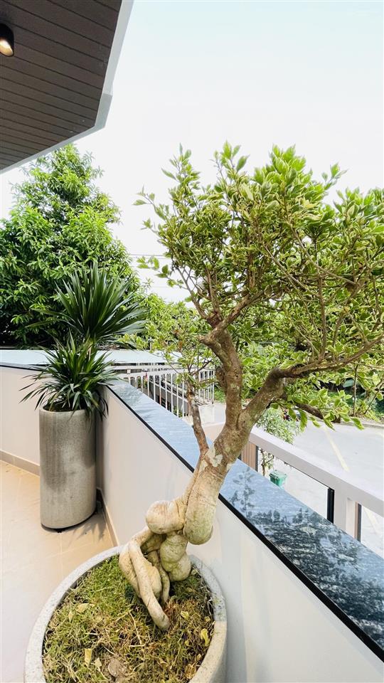 Chao ôi ngang gần 7m như villa  căn góc mặt tiền view sông mát mẻ có sân vườn giáp gò vấp