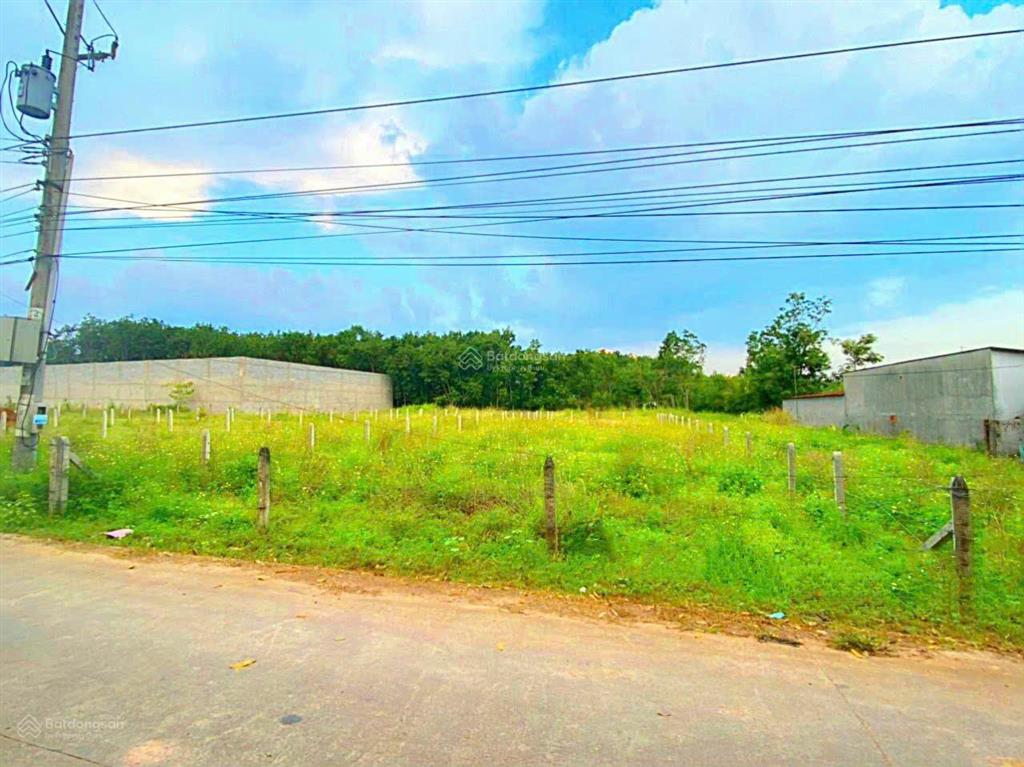 Đất 500m2 ngang 10m an điền bến cát bình dương giá chỉ 2,495 tỷ