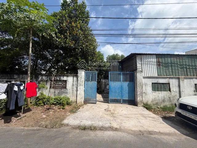 Đất lô góc 2 mặt tiền tặng nhà, nhánh tỉnh lộ 8, bình mỹ, củ chi. 287.5m². giá chỉ 4.8 tỷ tl