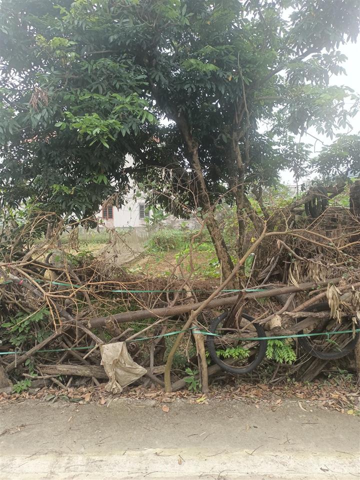 Bán đất tại yên tàng, bắc phú, sóc sơn, hà nội