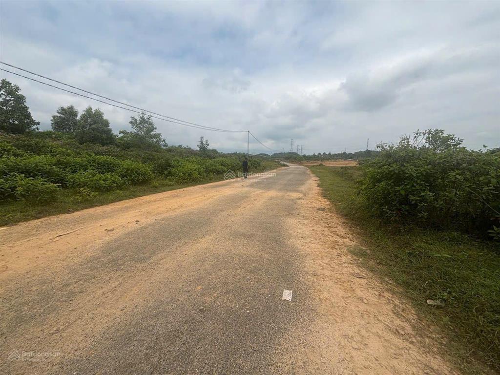 Bán đất nhà vườn hòa ninh, hòa vang, đà nẵng 2.250m², mặt tiền 39,9m, sổ lâu dài