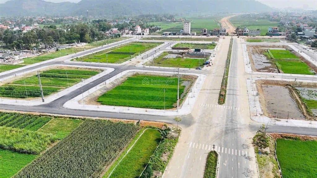 Siêu rẻ chỉ hơn 8tr/m2 đất biển hoằng hải, hoằng hoá