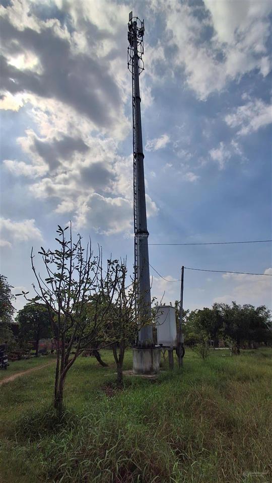 Đất vuông vức, sẵn dòng tiền ấp song xoài 2  740m² bà rịa vũng tàu 4,1 tỷ