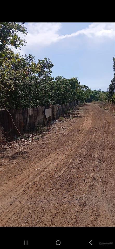 Cần bán hơn 1 mẫu bình châu, cách trung tâm và ủy ban xã trường học và chợ chỉ 1.5km