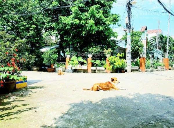 Bán nhà 5x15m, 3 tầng, hẻm ô tô thông đường lê đức thọ, giá chỉ 6.9 tỷ, vừa ở, vừa kinh doanh