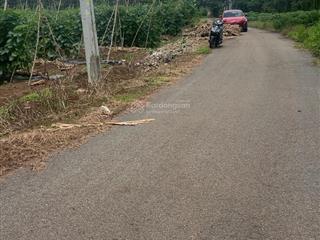 Bán đất gần ngã 6 đá bạc. gần nút giao cao tốc đang làm. sát tỉnh lộ 765