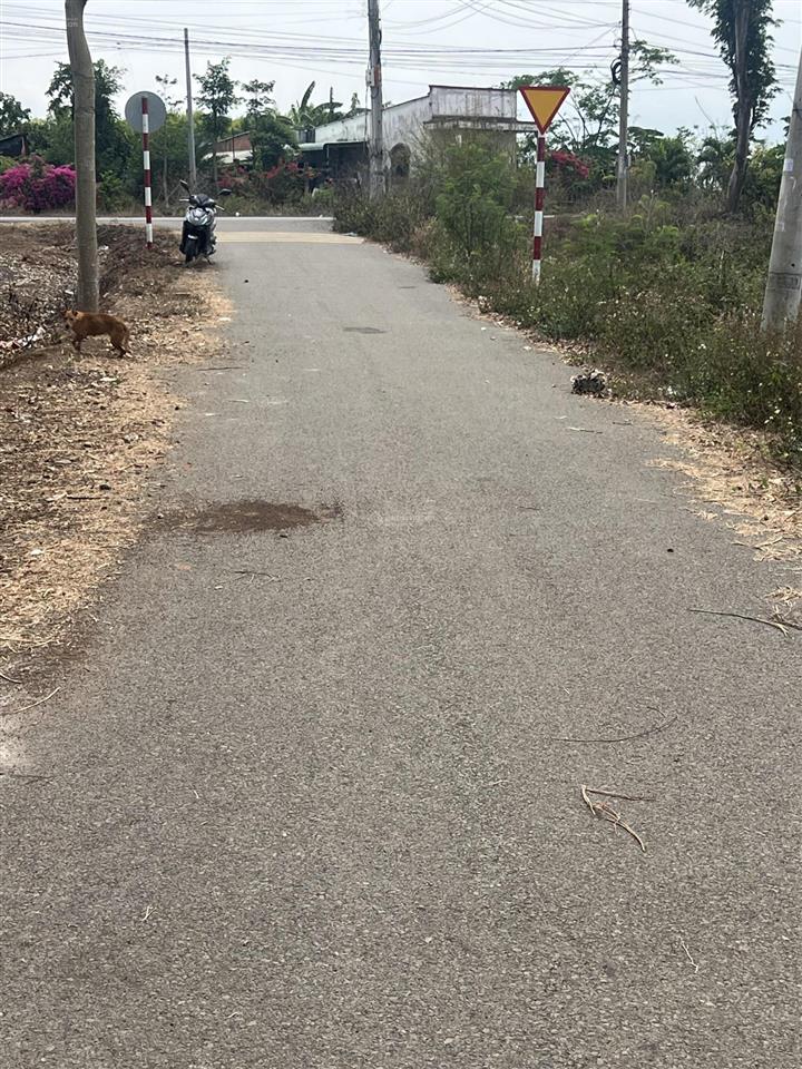 Bán đất sào giá rẻ sát đường lớn bình giã  đá bạc thích hợp làm kho xưởng đầu tư