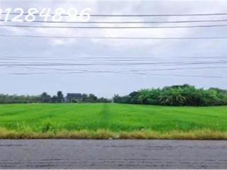 Siêu phẩm - Bán đất mặt tiền đường DT 827B, Châu Thành, Long An, DT 4.000m2, giá đầu tư