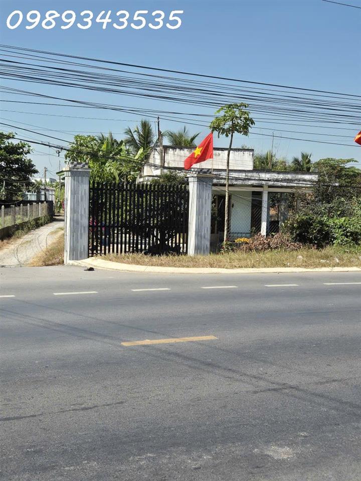 Bán đất mặt tiền đường ĐT 825, Tân Mỹ, Đức Hòa, Long An, DT 480m2, giá đầu tư