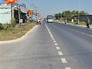 Bán đất mặt tiền đường ĐT 825, Tân Mỹ, Đức Hòa, Long An, DT 480m2, giá đầu tư