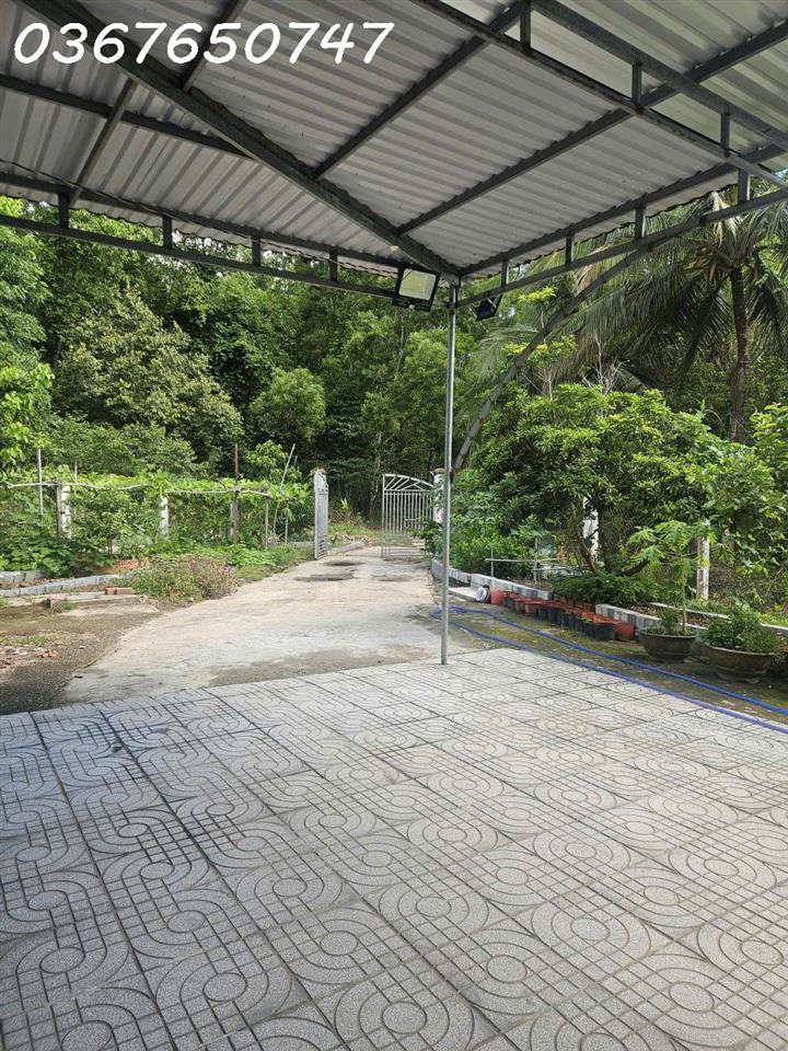 Giảm ngay 200 triệu Bán nhà và đất tại Suối Dá Dương Tơ, Phú Quốc, 508 m2 giá chỉ 3.5 tỷ