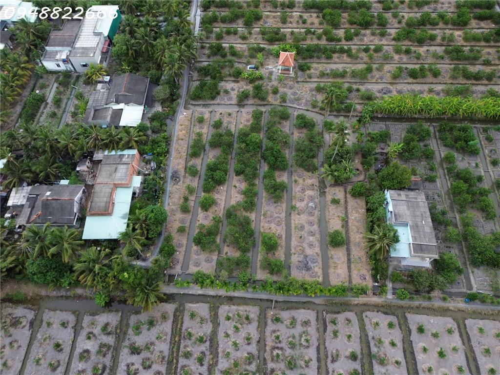 Siêu phẩm - Bán đất thổ cư siêu đẹp tại Ấp 5 Thạnh Hoà, Bến Lức, DT 195m2, giá đầu tư