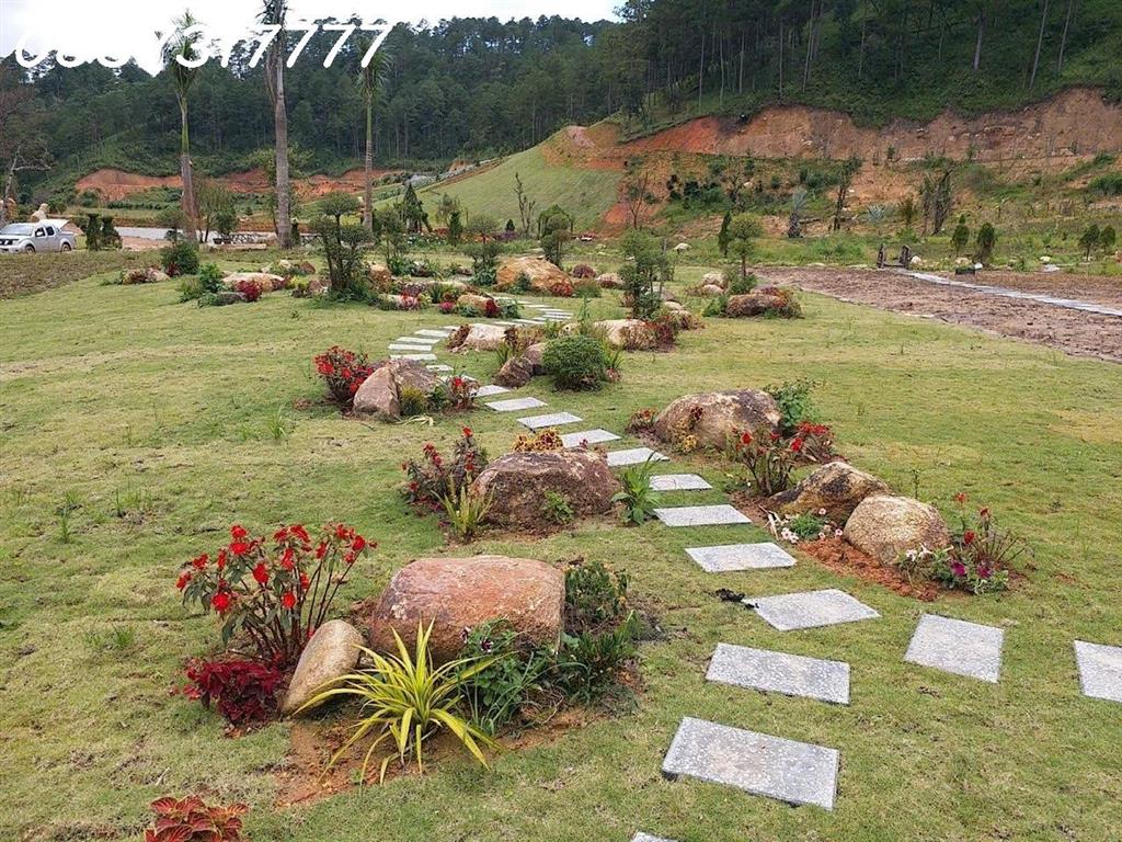 CƠ HỘI VÀNG – HỢP TÁC - SANG NHƯỢNG DỰ ÁN KHU DU LỊCH CANH NÔNG PHƯỜNG LANGBIANG- ĐÀ LẠT