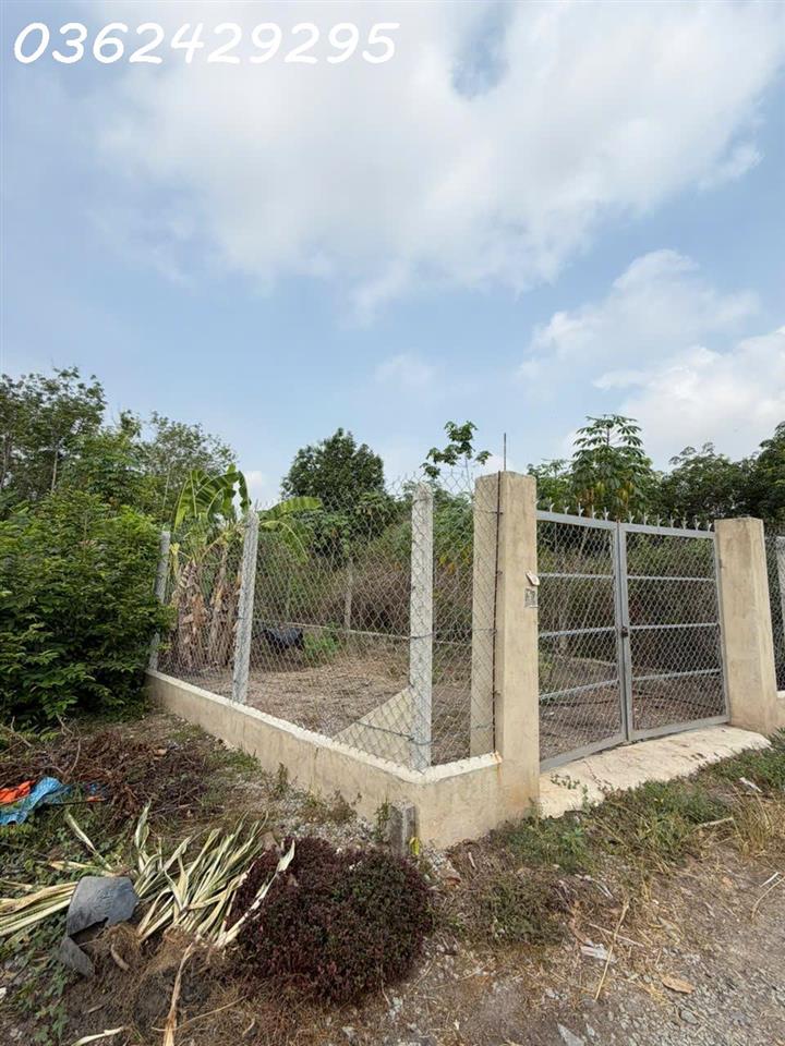 Bán đất 217.7m2 có thổ cư xã Thanh Tuyền, huyện Dầu Tiếng, Bình Dương chỉ với giá siêu hời