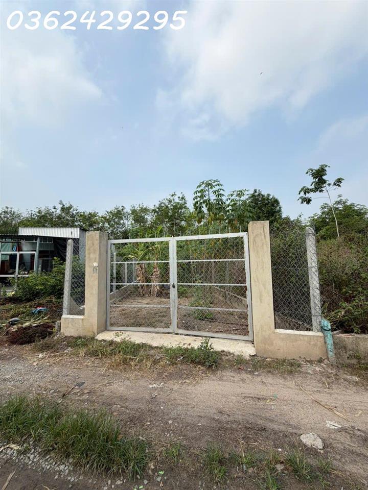 Bán đất 217.7m2 có thổ cư xã Thanh Tuyền, huyện Dầu Tiếng, Bình Dương chỉ với giá siêu hời
