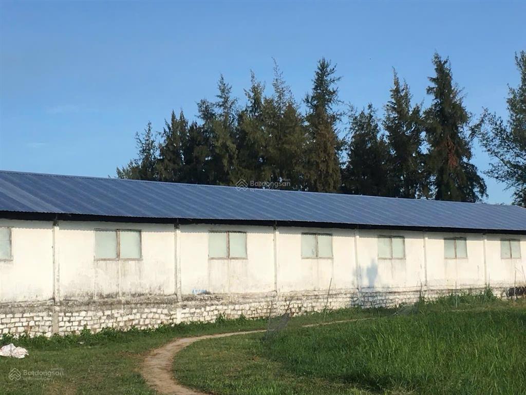 Bán trại heo 1200 nái, diện tích 9,6ha tại tân thắng, hàm tân, bình thuận đường xe tải vào tận nơi
